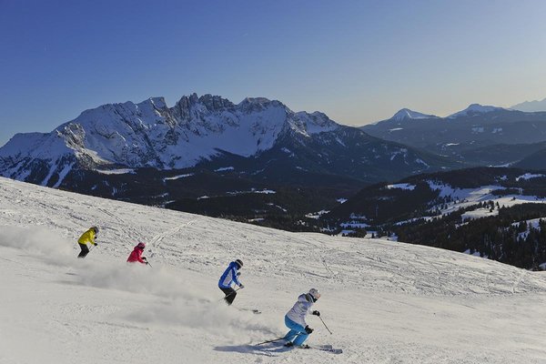 pardeller-winter26.JPG