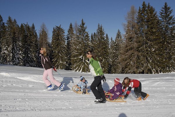 pardeller-winter14.JPG
